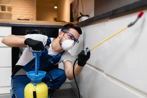 Best Affordable Pest Control Services  in Tanque Verde, AZ