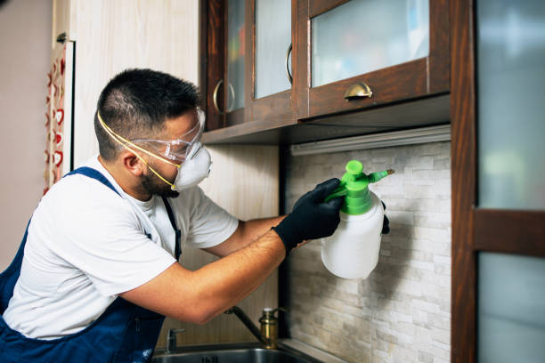 Best Best Pest Control Companies  in Tanque Verde, AZ