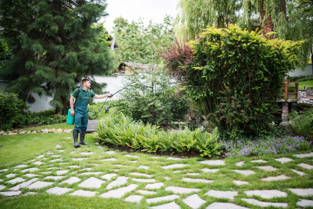Best Pest Removal Services  in Tanque Verde, AZ