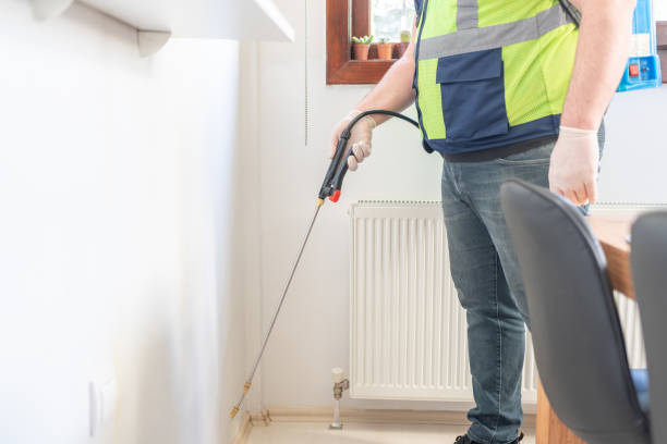 Best Flea Control Services  in Tanque Verde, AZ